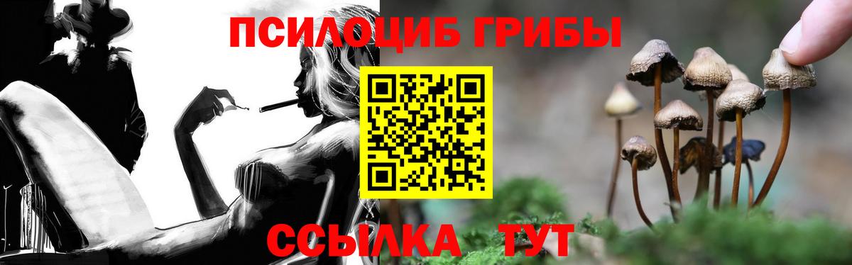 Галлюциногенные грибы прущие грибы Краснотурьинск